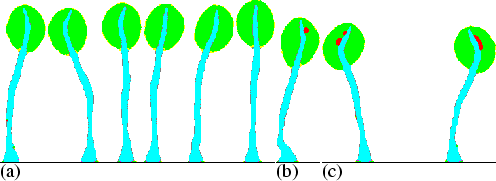 Figure 6.6